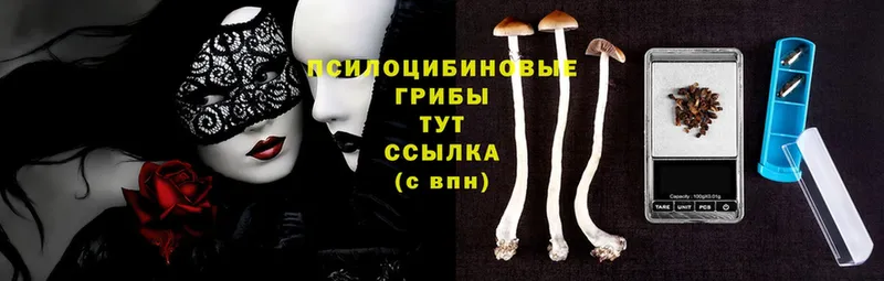 Галлюциногенные грибы Psilocybe  Дмитриев 