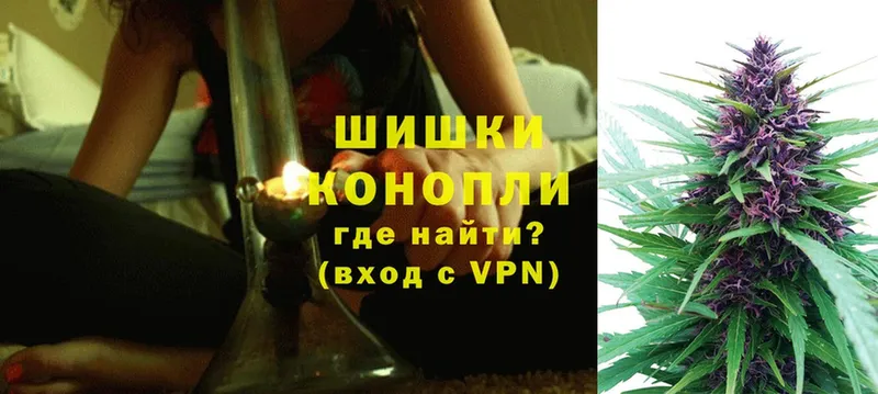 Бошки Шишки Amnesia  где можно купить наркотик  Дмитриев 